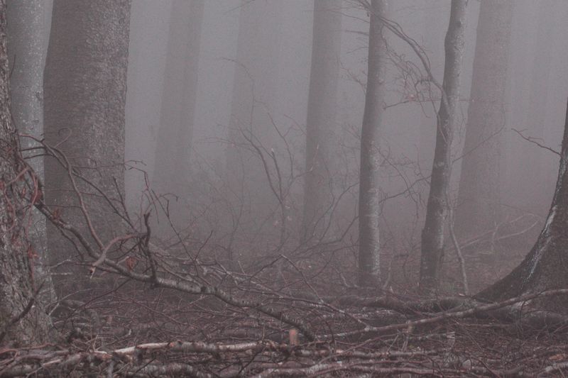 © Nanouk Prins - Image from the The letters photography project