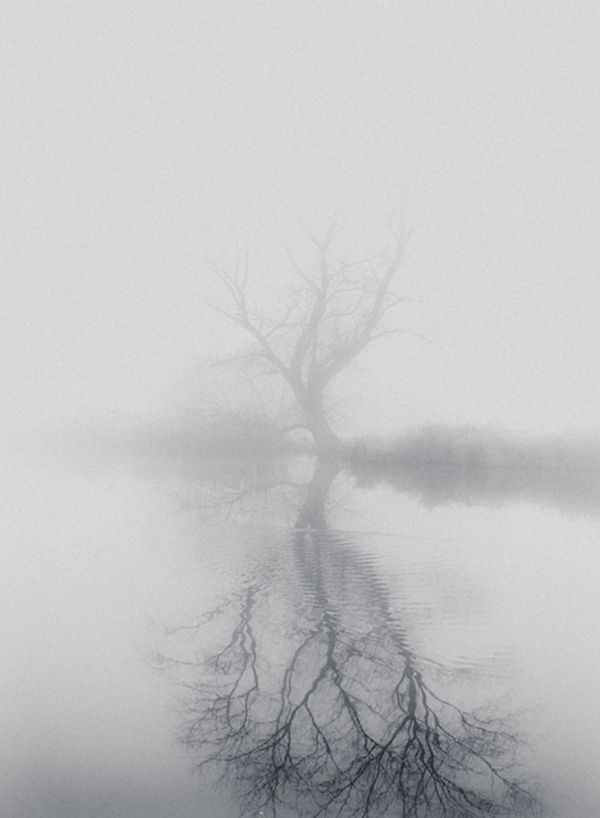 © Nanouk Prins - Image from the The letters photography project