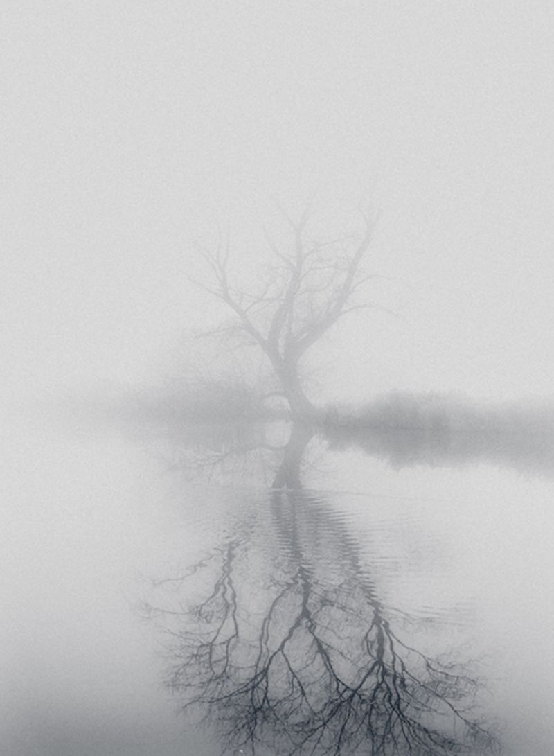 © Nanouk Prins - Image from the The letters photography project