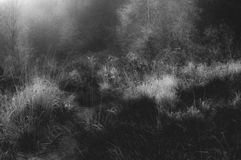 © Nanouk Prins - Image from the The letters photography project