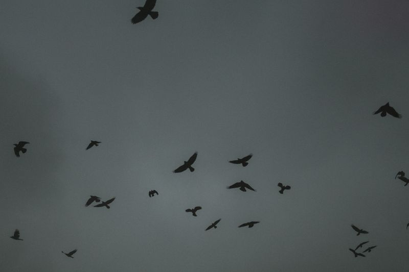 © Nanouk Prins - Image from the The letters photography project