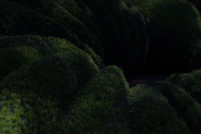 © Nanouk Prins - Image from the The letters photography project