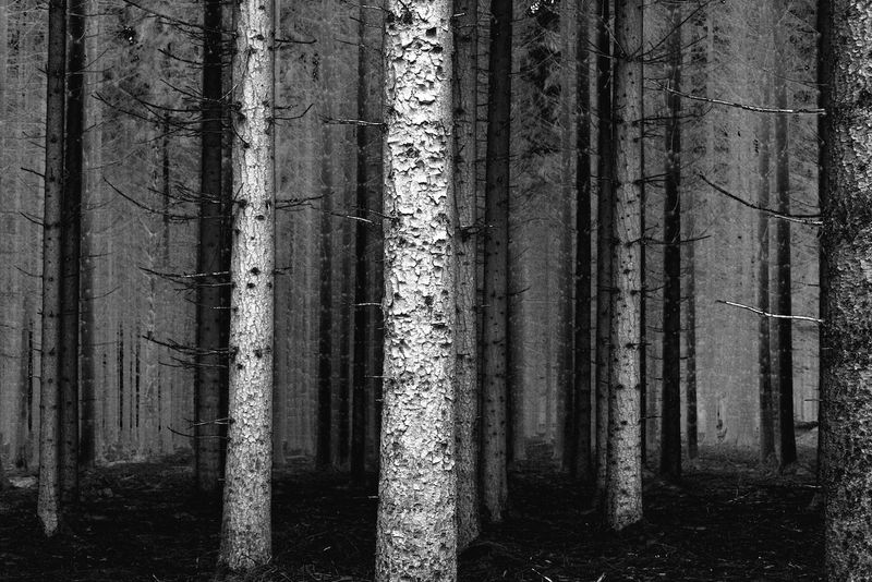 © Nanouk Prins - Image from the The letters photography project