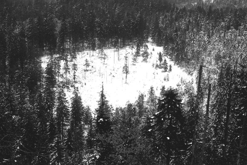 © Nanouk Prins - Image from the The letters photography project