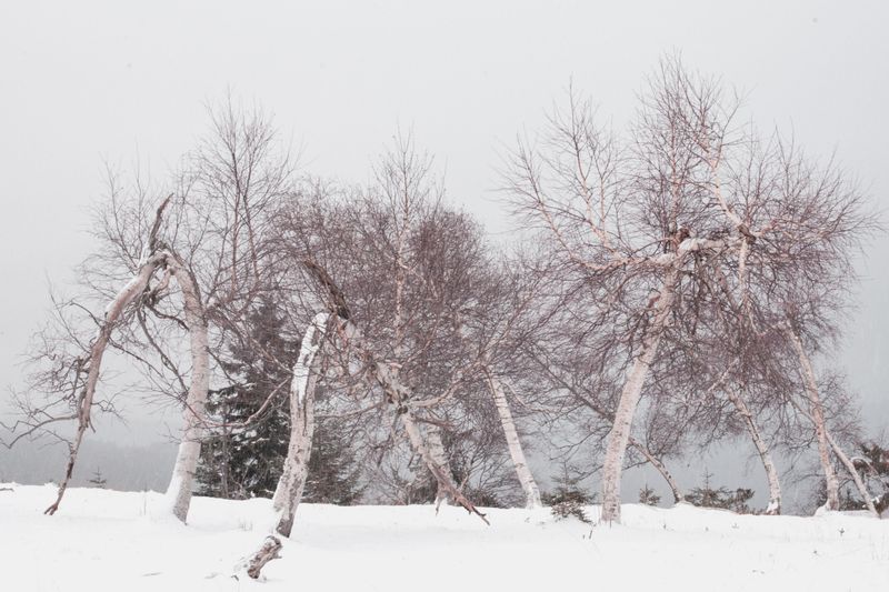 © Nanouk Prins - Image from the The letters photography project