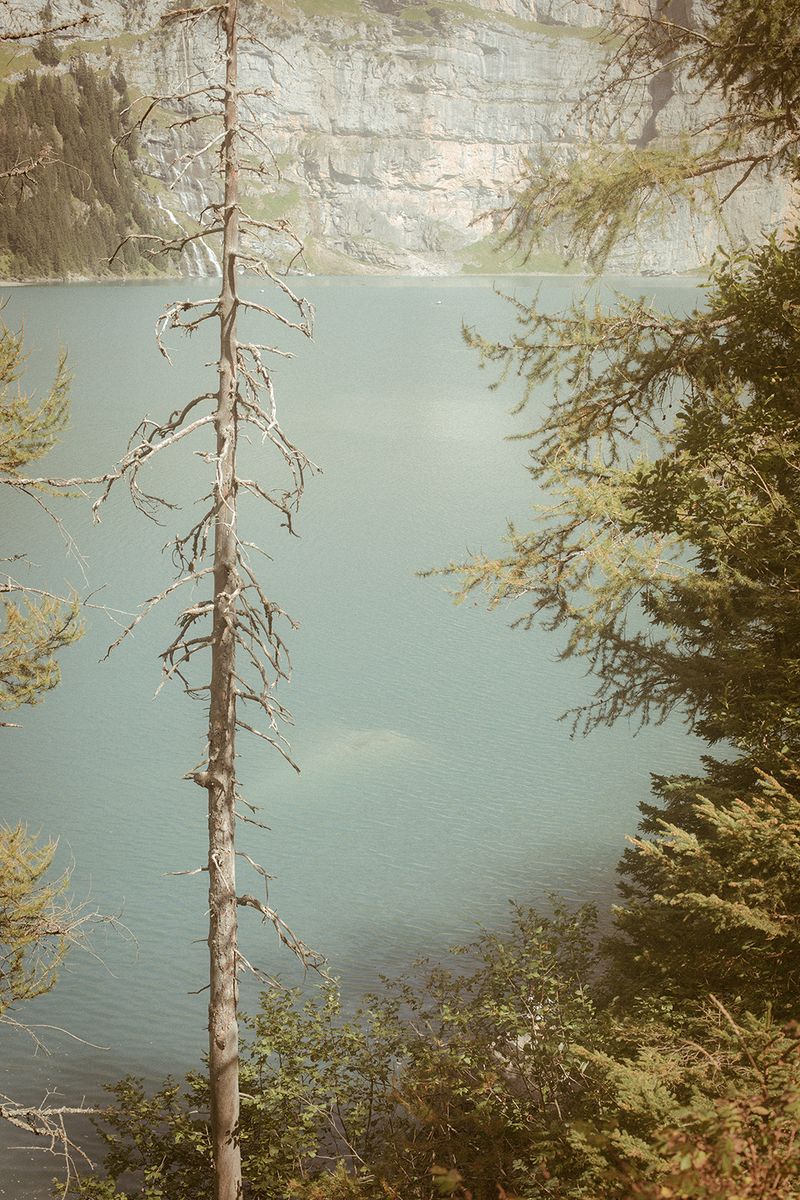 © Nanouk Prins - Image from the Make us great again photography project