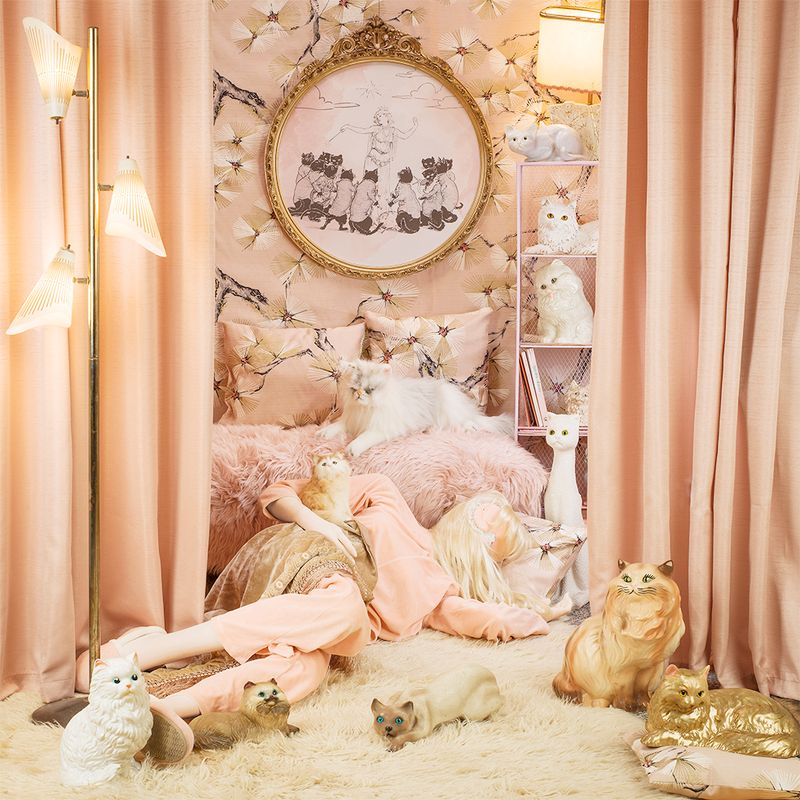 © Patty Carroll - Catnap