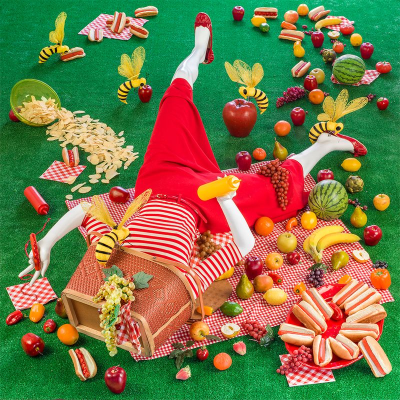 © Patty Carroll - Picknic panic in the back yard.