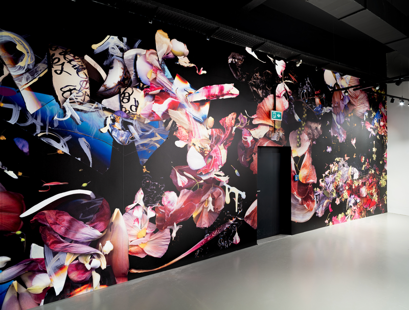 © Zani Arkadina - Image from the Installative large scale prints photography project