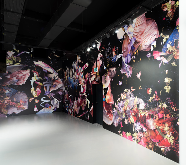 © Zani Arkadina - Image from the Installative large scale prints photography project