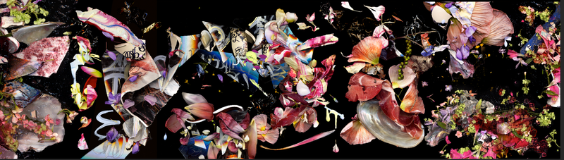 © Zani Arkadina - Image from the Installative large scale prints photography project