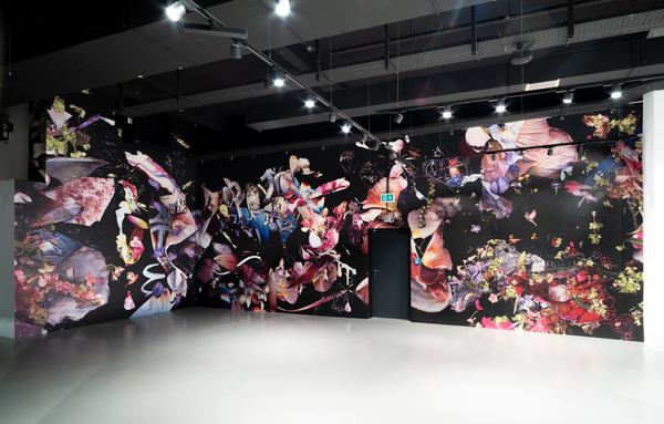 © Zani Arkadina - Image from the Installative large scale prints photography project