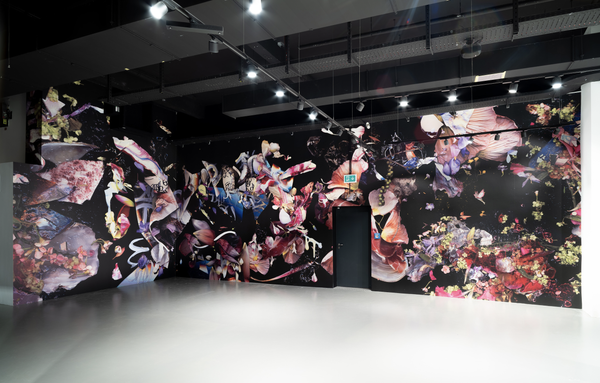 © Zani Arkadina - Image from the Installative large scale prints photography project
