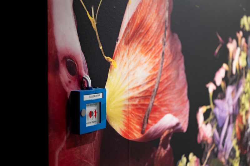 © Zani Arkadina - Image from the Installative large scale prints photography project