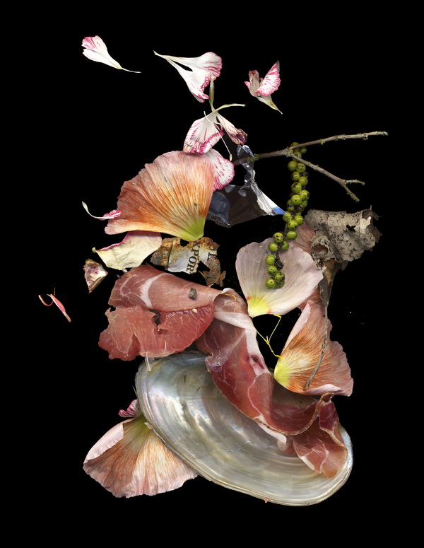© Zani Arkadina - artist: Zani Arkadinawork title: Earthly Delights