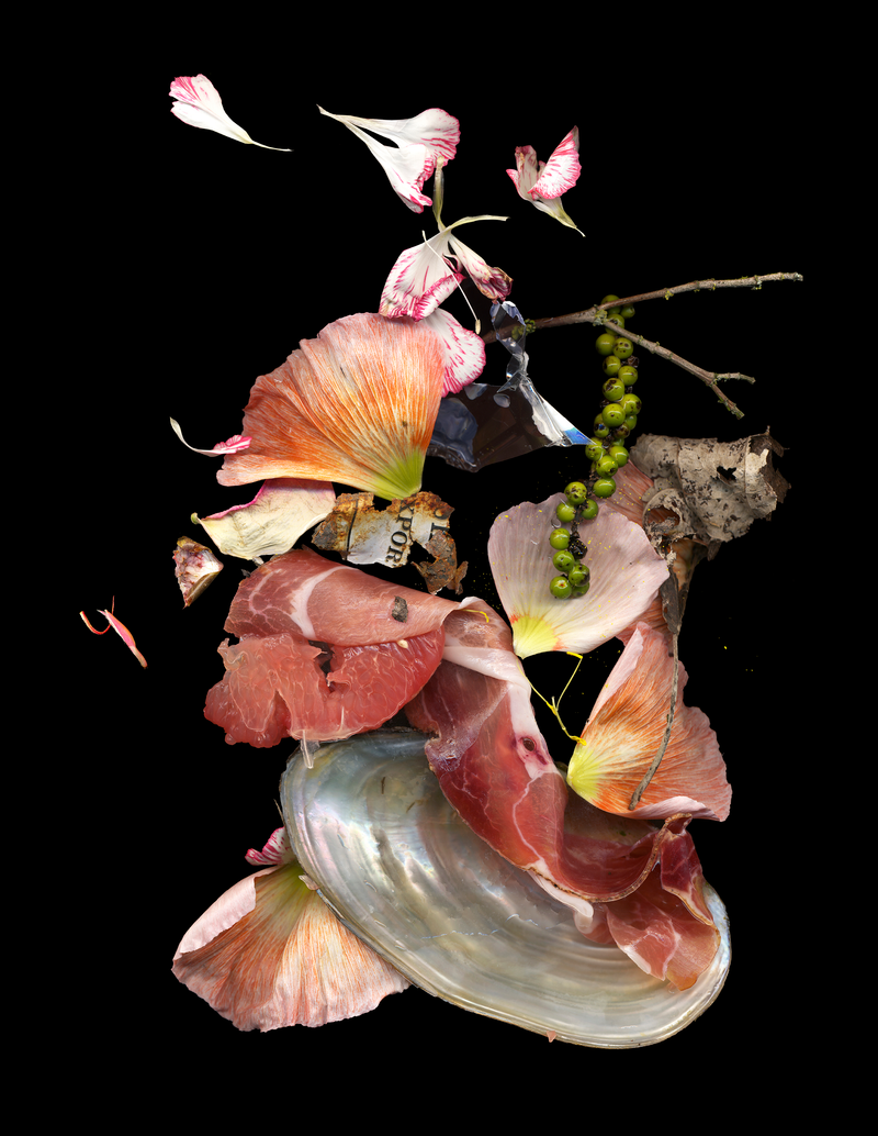 © Zani Arkadina - artist: Zani Arkadinawork title: Earthly Delights