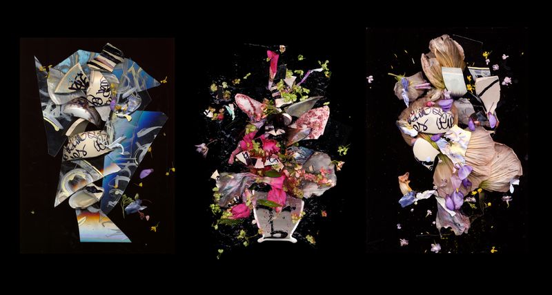 © Zani Arkadina - Image from the Nature Morte photography project