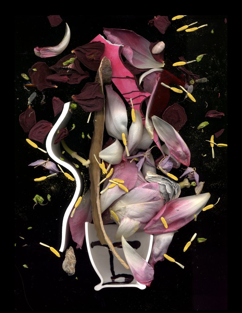 © Zani Arkadina - Image from the Nature Morte photography project