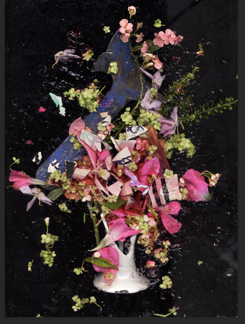 © Zani Arkadina - Image from the Nature Morte photography project