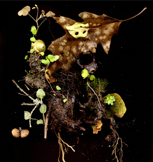 Building Lightscapes