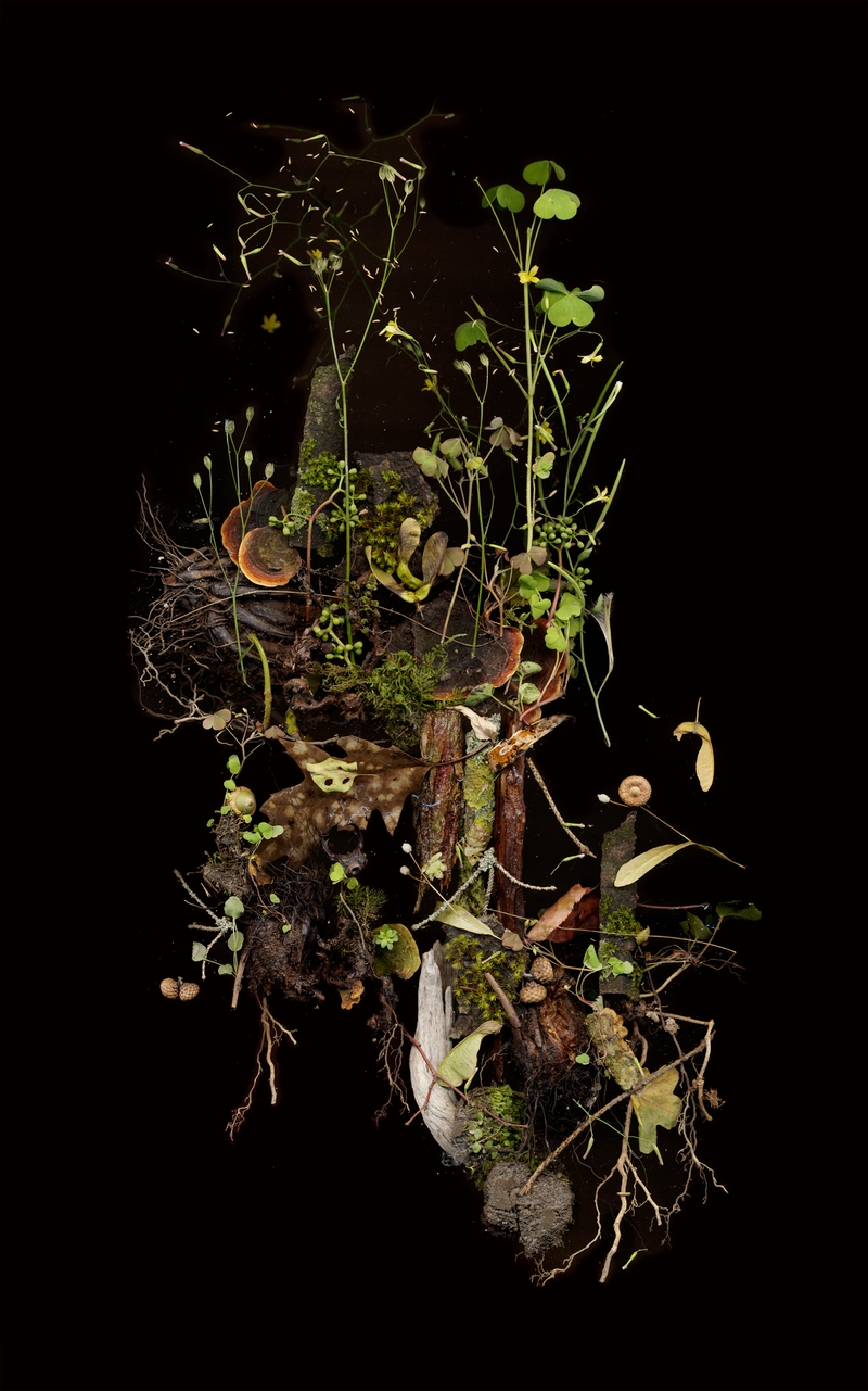 © Zani Arkadina - Image from the Building Lightscapes photography project