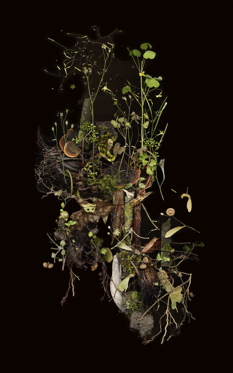 © Zani Arkadina - Image from the Building Lightscapes photography project