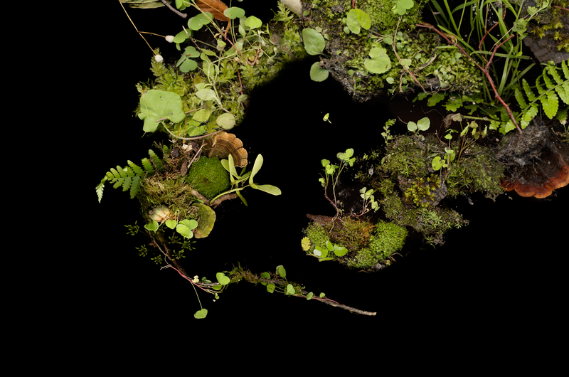 © Zani Arkadina - Image from the Building Lightscapes photography project