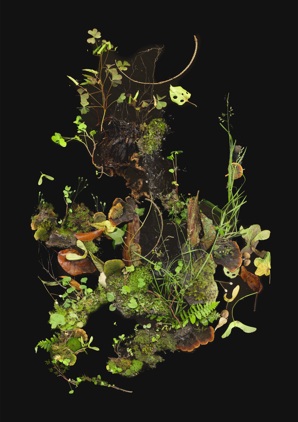 © Zani Arkadina - Image from the Building Lightscapes photography project