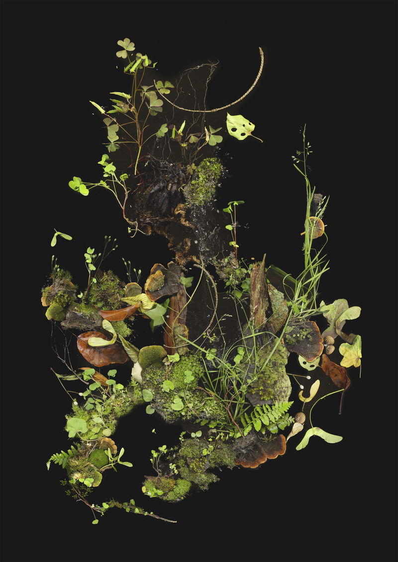 © Zani Arkadina - Image from the Building Lightscapes photography project