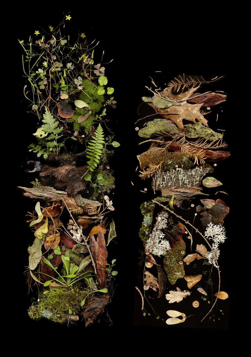 © Zani Arkadina - Image from the Building Lightscapes photography project