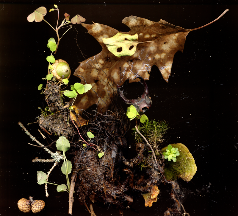 © Zani Arkadina - Image from the Building Lightscapes photography project