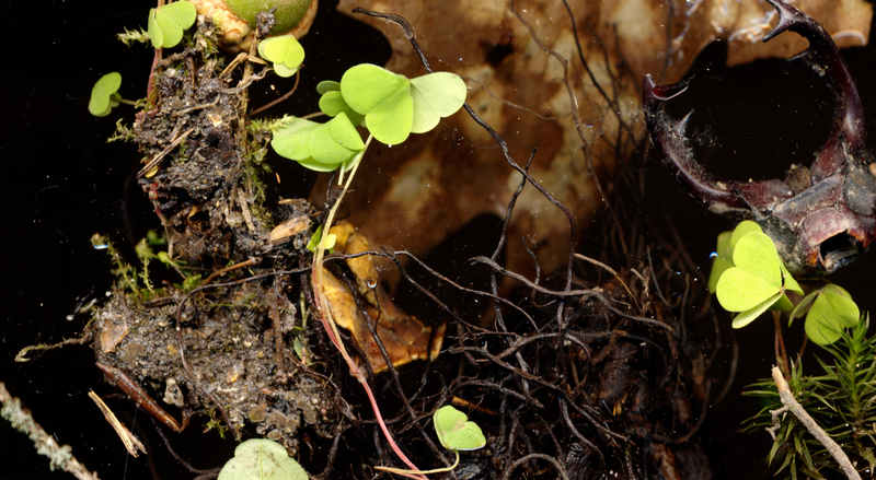 © Zani Arkadina - Image from the Building Lightscapes photography project