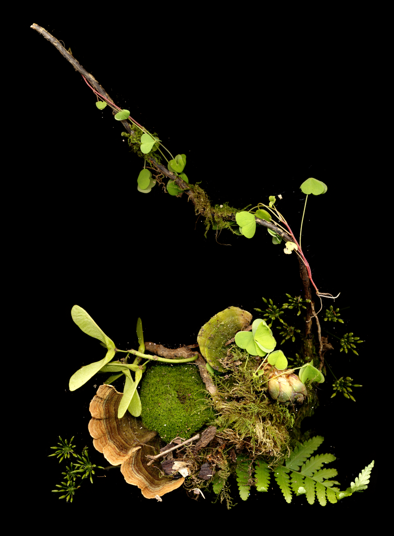 © Zani Arkadina - Image from the Building Lightscapes photography project