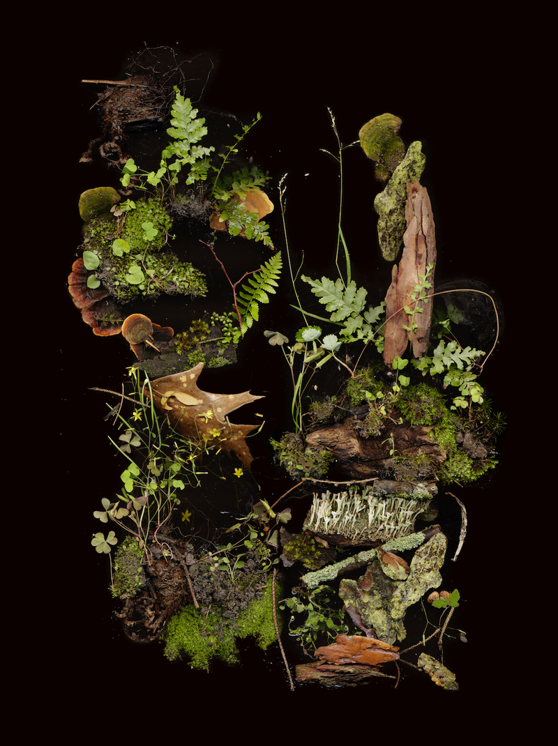 © Zani Arkadina - Image from the Building Lightscapes photography project