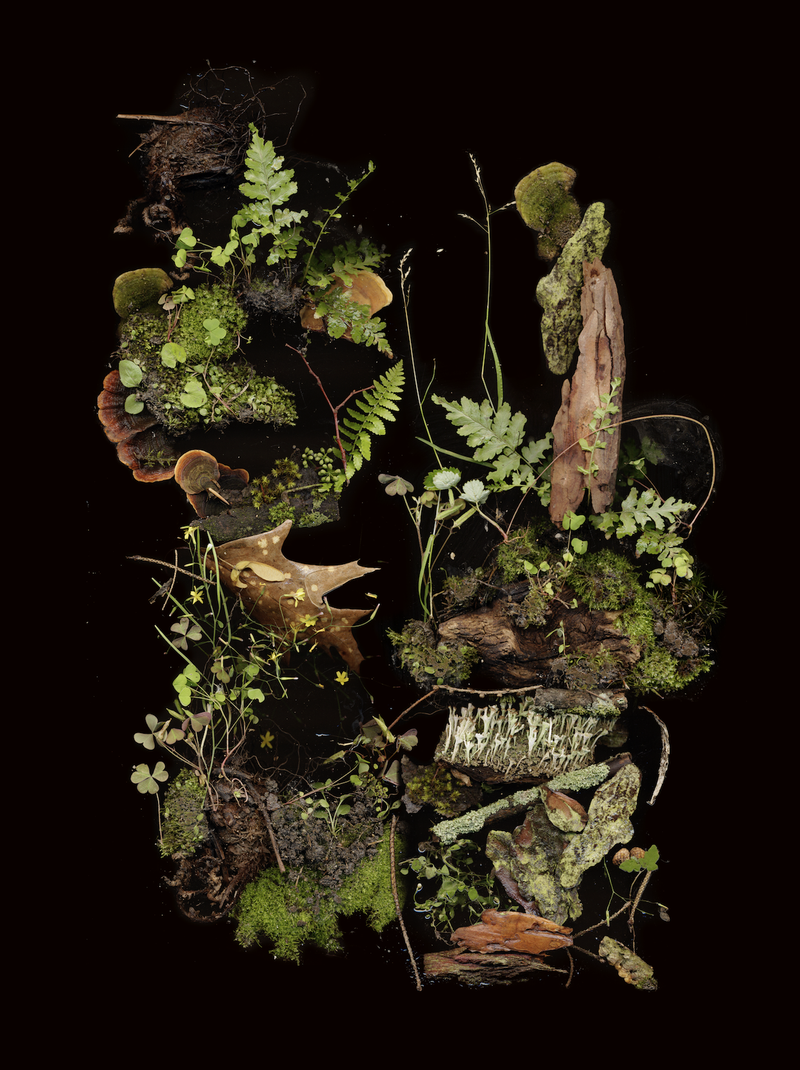 © Zani Arkadina - Image from the Building Lightscapes photography project