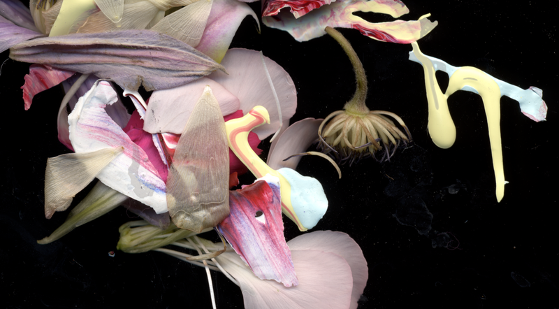 © Zani Arkadina - Image from the en détail photography project