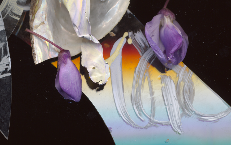 © Zani Arkadina - Image from the en détail photography project