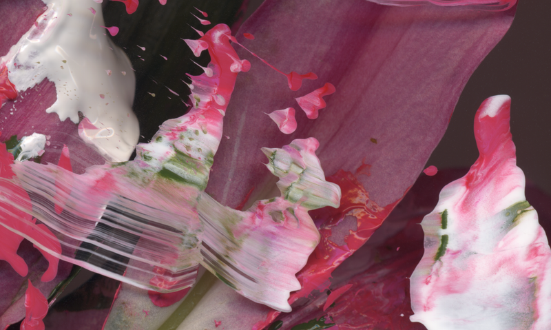 © Zani Arkadina - Image from the en détail photography project