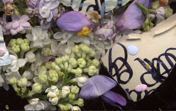 © Zani Arkadina - Image from the en détail photography project