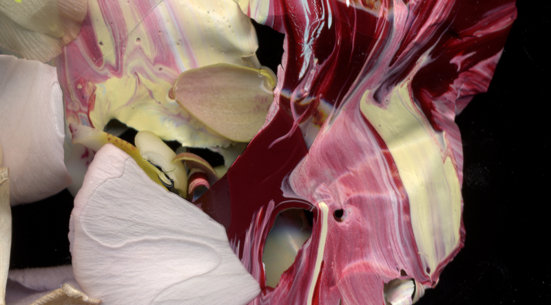 © Zani Arkadina - Image from the en détail photography project