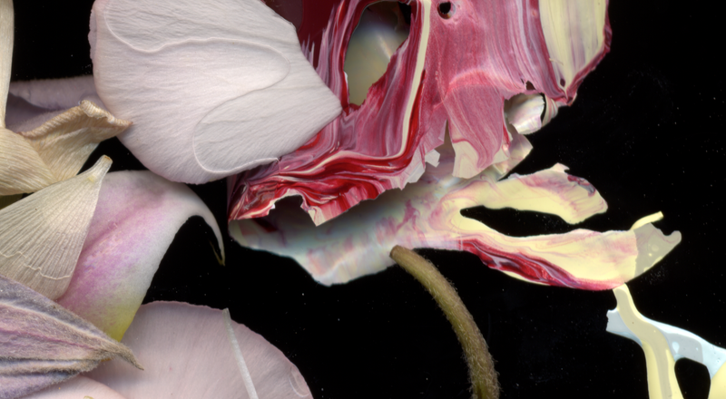 © Zani Arkadina - Image from the en détail photography project