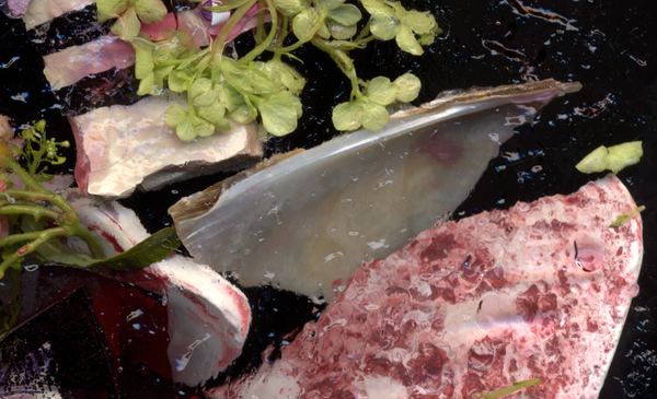 © Zani Arkadina - Image from the en détail photography project