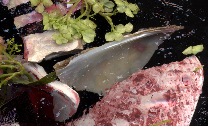 © Zani Arkadina - Image from the en détail photography project