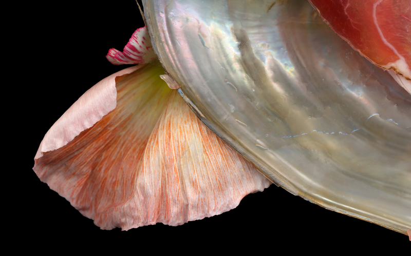 © Zani Arkadina - Image from the en détail photography project