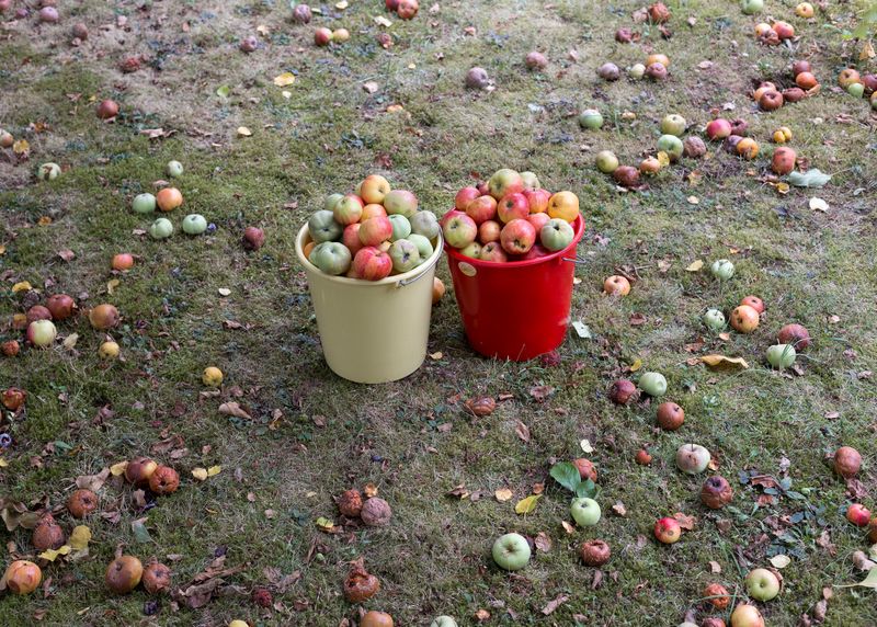 © Teresa Pistorius - Image from the Billerberg photography project