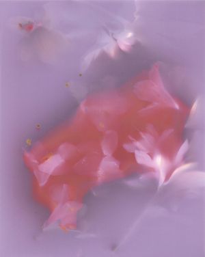 The Secret Lives of Spring Blooms