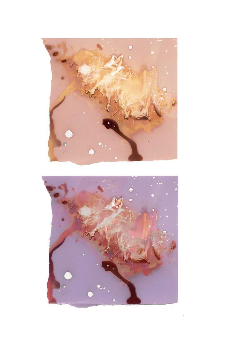 © Angela Cornish - Image from the The Secret Lives of Spring Blooms photography project
