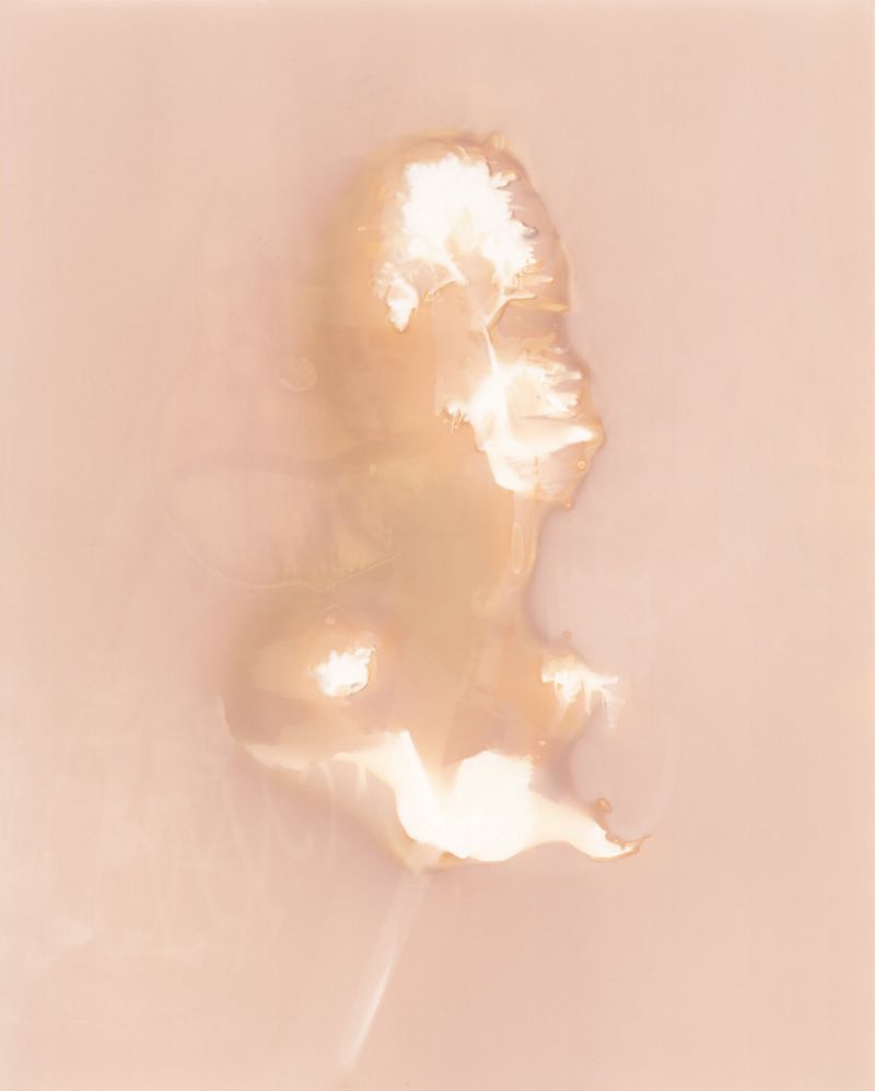 © Angela Cornish - Image from the The Secret Lives of Spring Blooms photography project