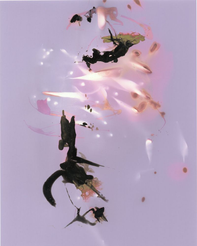 © Angela Cornish - Image from the The Secret Lives of Spring Blooms photography project