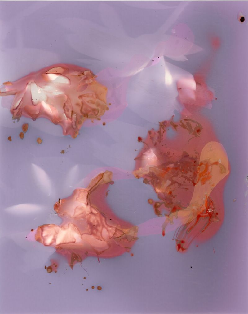 © Angela Cornish - Image from the The Secret Lives of Spring Blooms photography project